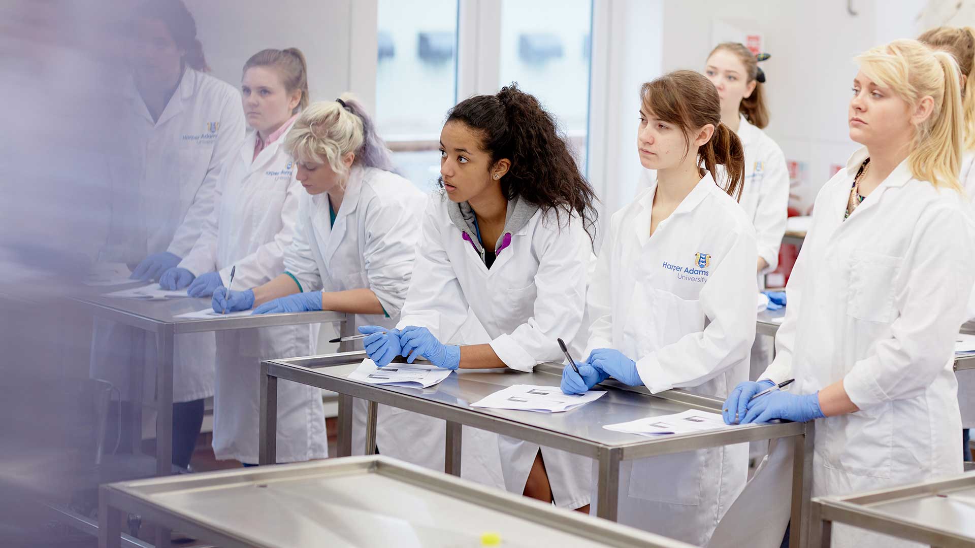Veterinary Nursing students in the labs