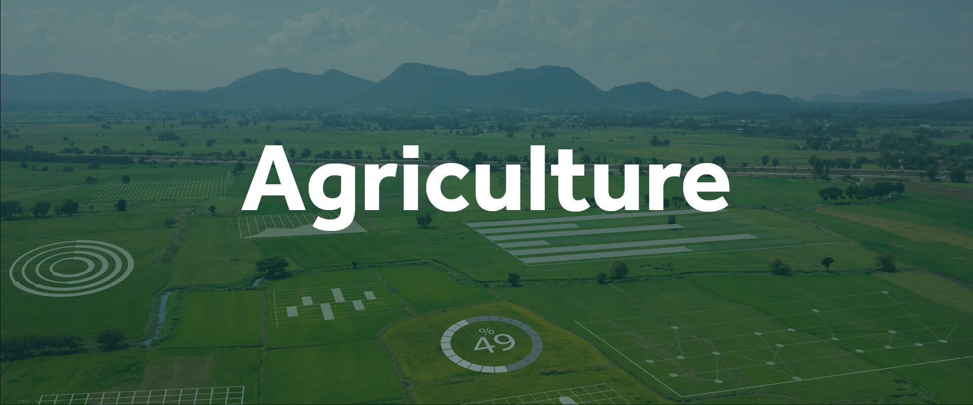 Agriculture