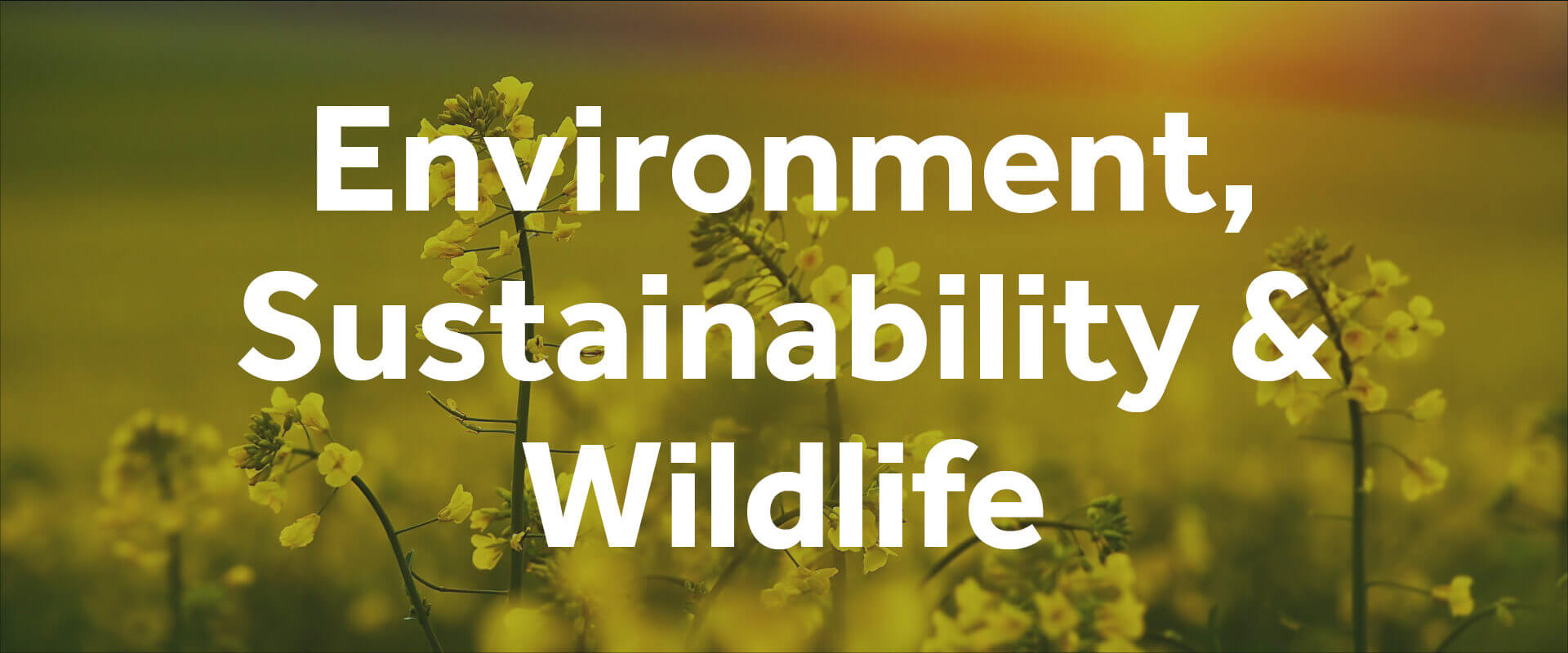 Environment