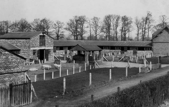 The University Farm