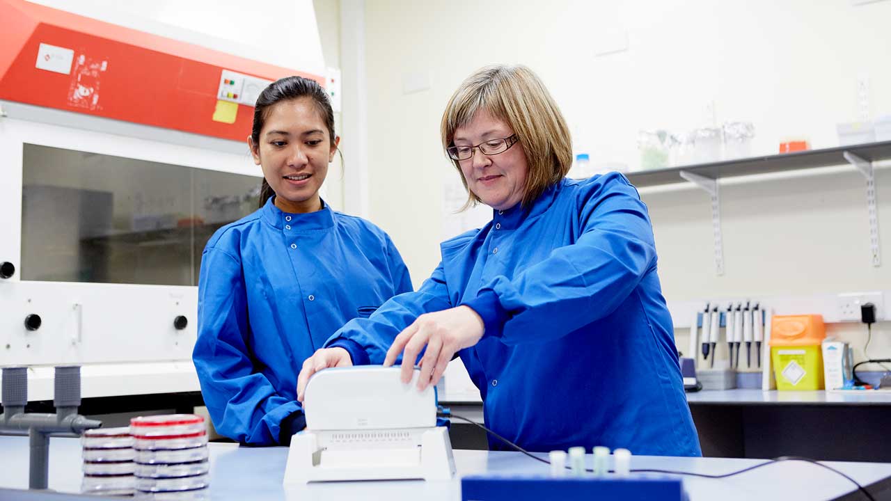 Food research in the Regional Food Academy