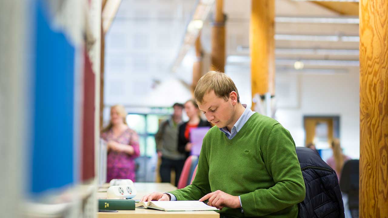 Reading in the library